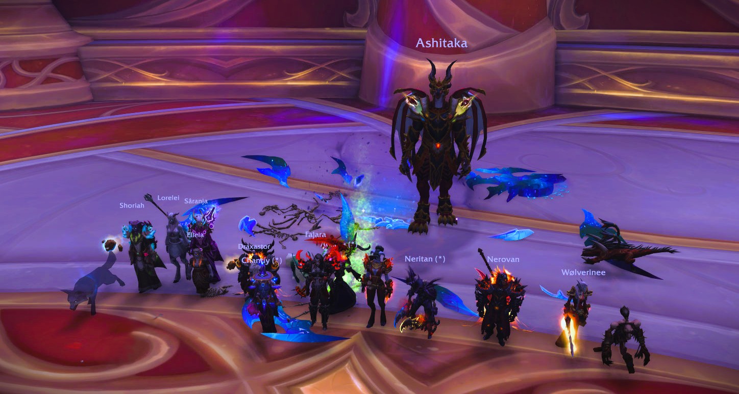 Ist der Flauschie-Raid am Ende angelangt!? 🫨