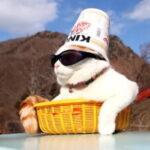 Profilbild von Adilicia